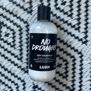 Lush Dry Shampoo Powder